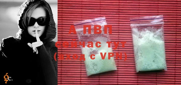 стаф Алексин
