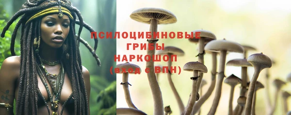 mdpv Пролетарск