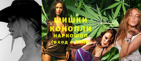 дмт Алзамай