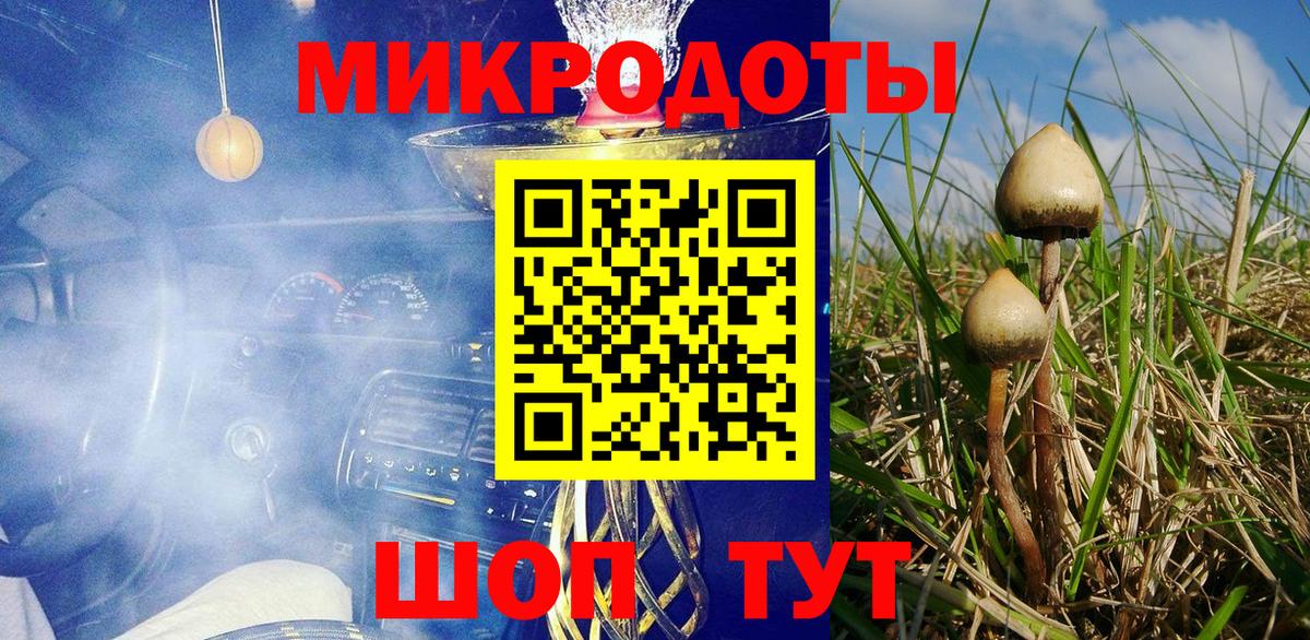 Псилоцибиновые грибы MAGIC MUSHROOMS  Вход с VPN  Дюртюли 